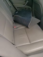 2011 Acura RDX - Interior Rear Seat Image